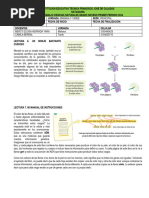 Guia Ciencias Naturales Grado Noveno Primer Periodo 2024 Calse 12032024