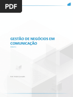 Gestão de Negócios em Comunicação AULA 1