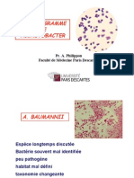 ANTIBIOGRAMME Et Acinetobacter