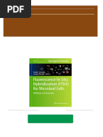 Fluorescence in Situ Hybridization FISH For Microbial Cells Methods and Concepts Nuno F Azevedo Carina Almeida 2024 Scribd Download