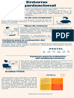 Infografía Entorno Organizacional