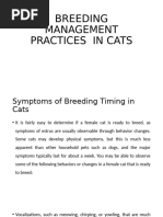 Breeding Management Practices in Cats