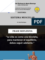 Tema 4 Sistema Muscular