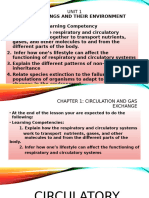 Circulatory System