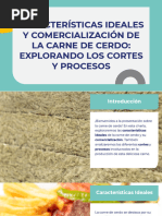 Caracteristicas Ideales y Comercializacion de La Carne de Cerdo Explorando Los Cortes y Procesos 20230730194000FSnU