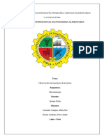 Cultivo de Microorganismos Siembras