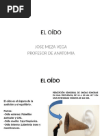 Anatomia de Oido