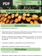 Aula 5 - Regeneração Artificial e Natural