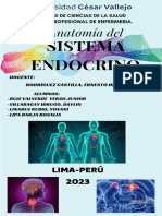 3 GUIA+DE+ANATOMÍA+SESIÓN+3+Sistema+Endocrino+-+daylin