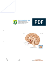 Lecture 7-HP Axis and Thyroid Hormones