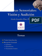 Unidad 6 Visión y Audición