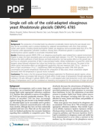 Single Cell Oils of The Cold-Adapted Oleaginous Yeast Rhodotorula Glacialis DBVPG 4785