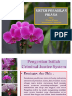 Sistem Peradilan Pidana