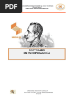 Diseño Del Doctorado en Psicopedagogia (Cnu Final 2020)