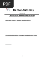 Dental Anatomy: S Permanent Mandibular Incisor