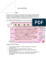 Notas Marginales y Toma de Apuntes.