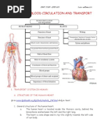 Chapter 2 Blood Circulation Doc2