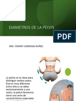 6 Diametros de La Pelvis