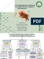 Mapa Conceptual-Utilización de Microorganismos de Ambientes