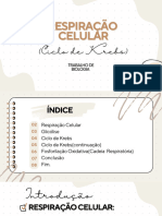 Apresentação Trabalho de Conclusão de Curso TCC Moderno Orgânico Bege Branco PDF