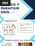 Fimosis y Parafimosis