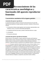 Tema 1 Reconocimiento de Las Caractersticas Morfolgicas y Funcionales Del Aparato Reproductor Femenino