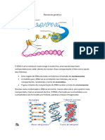 O DNA É Uma Molécula Muito Longa e Muito Fina