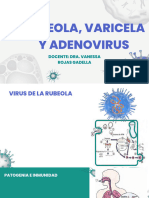 Tema 4 Rubeola Varicela y Adenovirus-1