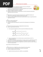 Ejercicios de Lípidos