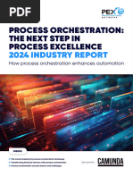 Process Orchestrationreport 2024