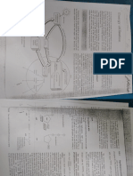 Respiration Notes