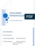 Coccidios Intestinales