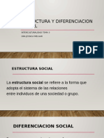 Tema 3 Estructura y Diferenciacion Social.