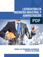 Licenciatura en Ingeniería Industrial y Administración