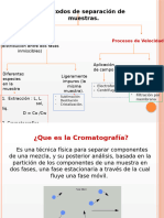 Cromatografía y Parametros