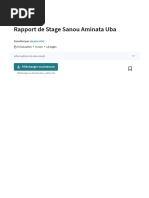 Rapport de Stage Sanou Aminata Uba - PDF - Banques - Afrique