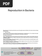 Reproduction in Bact