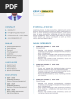 Blue and Gray Simple Professional CV Resume