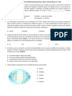 Evaluación Grado Sexto Ciencias 1