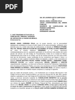 INCIDENTE Final Modifikado DE CANCELACION DE PENSION MIGUEL ANGEL CONSULTA FUNCIÖN PUBLICA