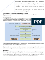 Desarrollo de Las Vías Excretoras de La Orina