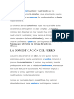 La Domesticación Del Perro: Perro Mamífero Cuadrúpedo 10.000 Años Canis Lupus Familiaris Ochocientas Razas