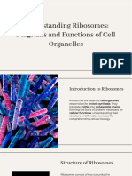 Ribosomes 2