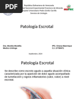 Patologia Escrotal