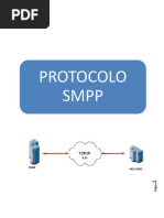 SMPP Intro