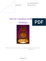 Andreea Teodora Tudor - Stari de A Modificata - Meditatia