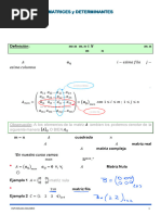 02 - MATRICES Y DETERMINANTES - Universidad Nacional de Salta