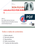 Clase Sesion 4 Patron Pleural