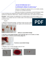 Lucrare-practica-mitoza_biologie-cl-9