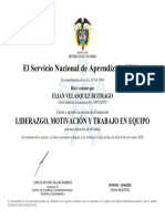 Certificado de Liderazgo Motivacion y Trabajo en Equipo